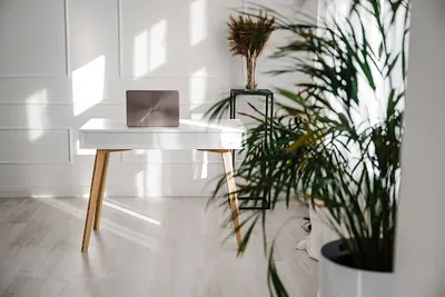 Dziwak.pro - Tworzenie stron internetowych, wizerunek firmy, fotografia biznesowa